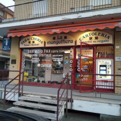 501-1241-FOTOI2_030220182857